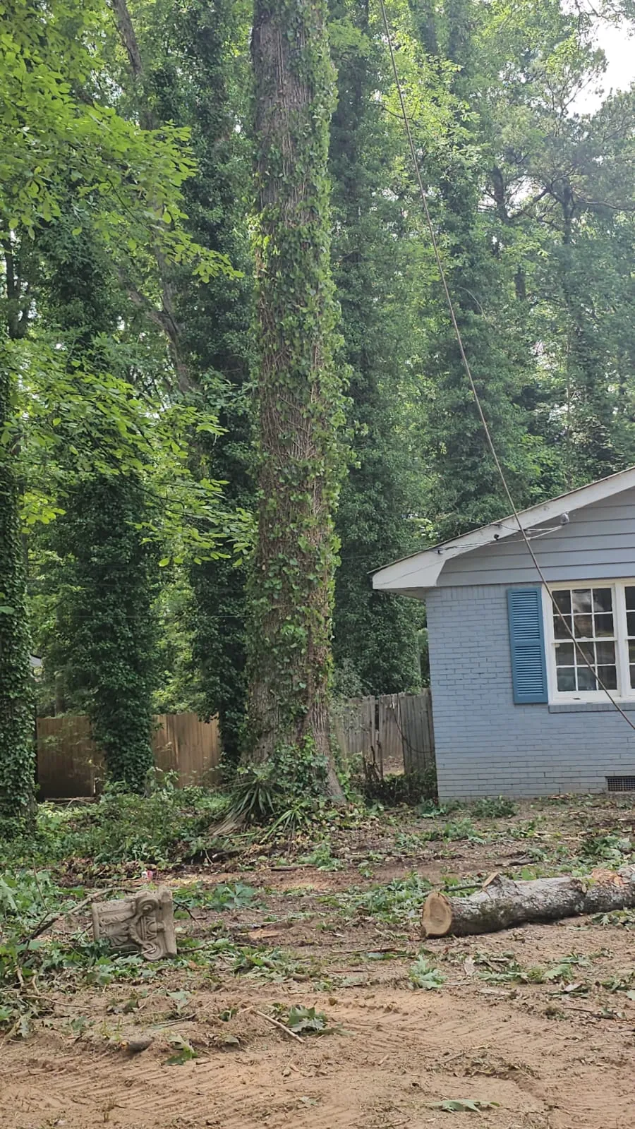 IG Tree Service project photo 20