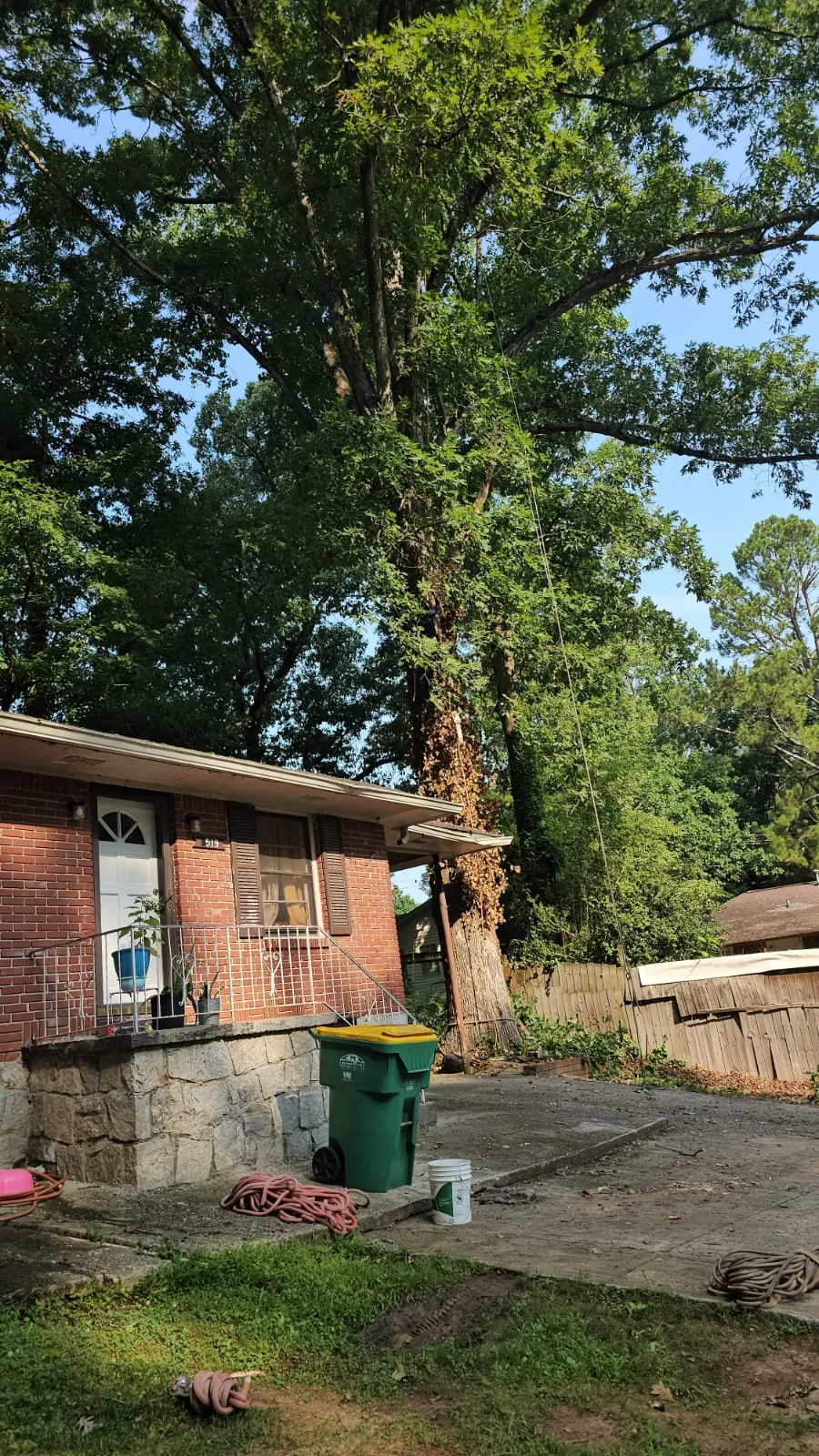IG Tree Service project photo 22