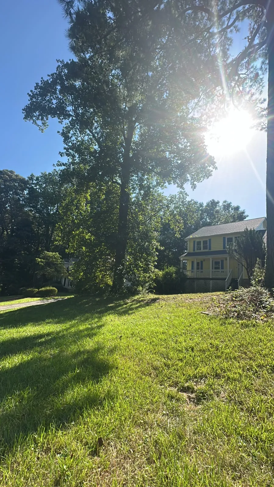 IG Tree Service project photo 27