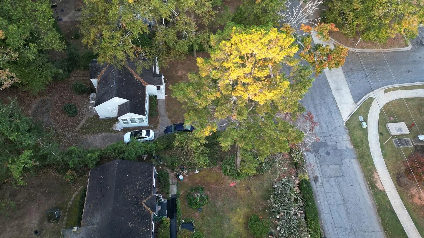 Aerial view of a tree service project around a residential property