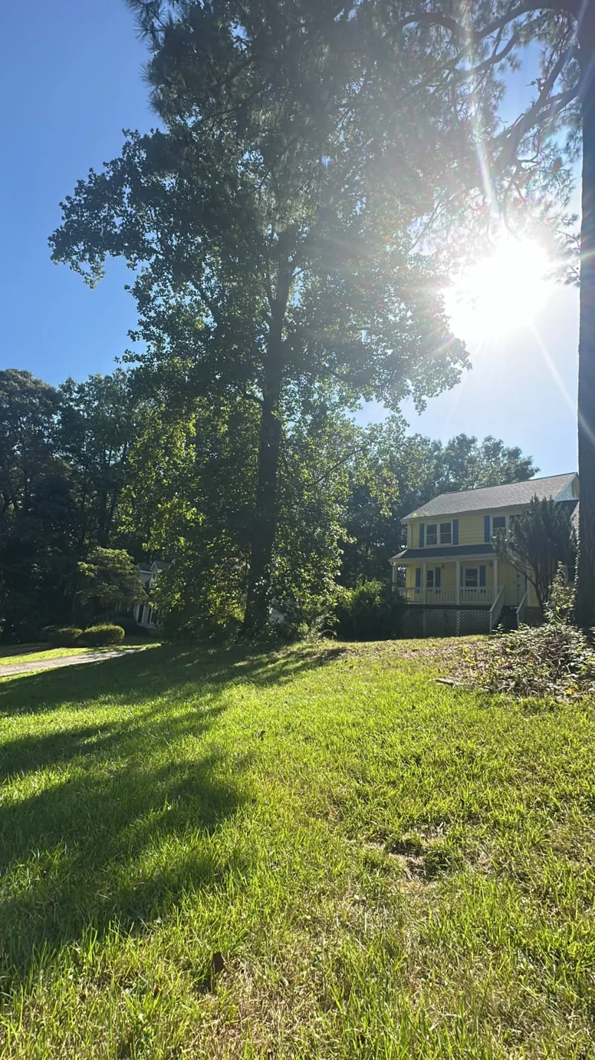 Pine Straw by IG Tree Service